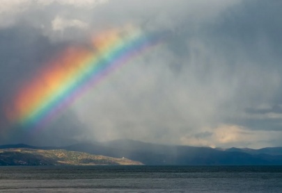 ICBEC memberships in Process 	