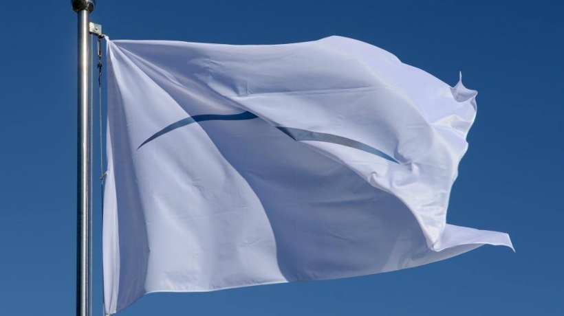 Eliminating Green Washing Policy