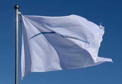 Eliminating Green Washing Policy